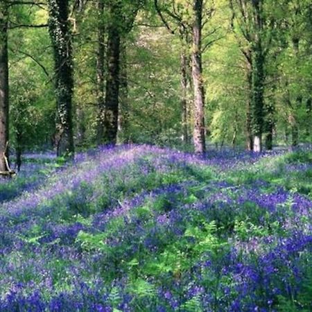 The Cider House Holiday Cottage Welsh Newton Common Luaran gambar