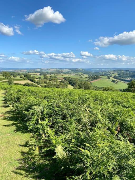 The Cider House Holiday Cottage Welsh Newton Common Luaran gambar